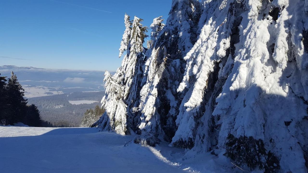 Ferienwohnung Am Kirchberg Achslach Zewnętrze zdjęcie